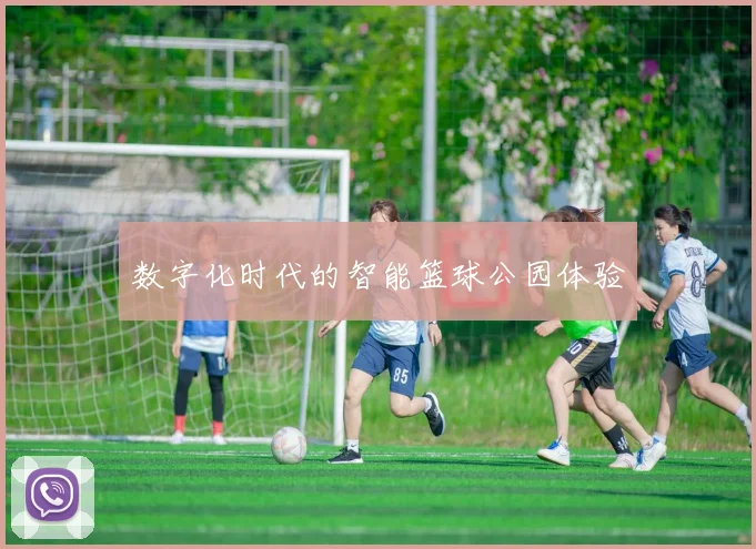 数字化时代的智能篮球公园体验